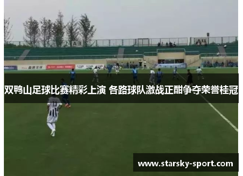 双鸭山足球比赛精彩上演 各路球队激战正酣争夺荣誉桂冠